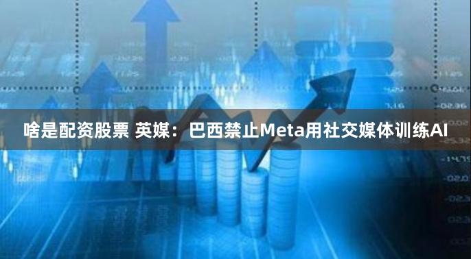 啥是配资股票 英媒：巴西禁止Meta用社交媒体训练AI