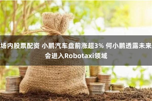 场内股票配资 小鹏汽车盘前涨超3% 何小鹏透露未来会进入Robotaxi领域