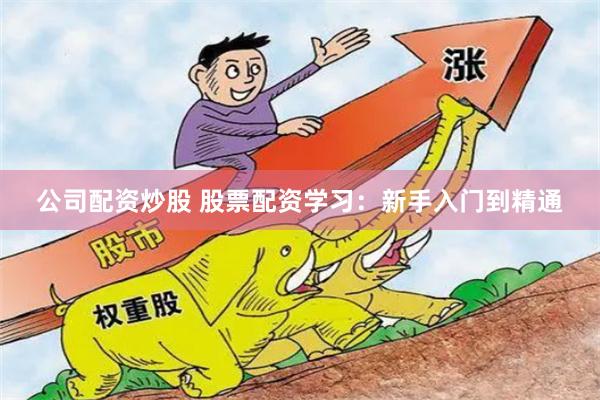 公司配资炒股 股票配资学习：新手入门到精通
